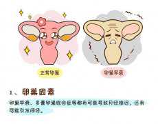 代孕费用明细，上海第三代试管婴儿包生男孩价格是多少？