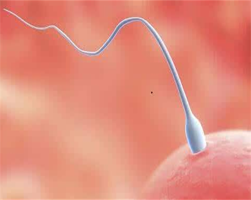 上海供卵自怀三代,上海仁济医院科室介绍，别问上海仁济医院擅长什么科