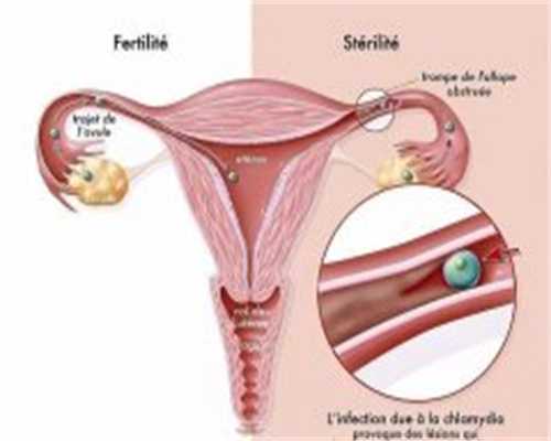 上海生殖中心有哪些,上海私立机构排名