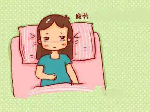 上海供卵难吗,上海人类精子库电话(探访上海人类精子库)