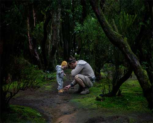 上海市最好的试管婴儿是哪家？