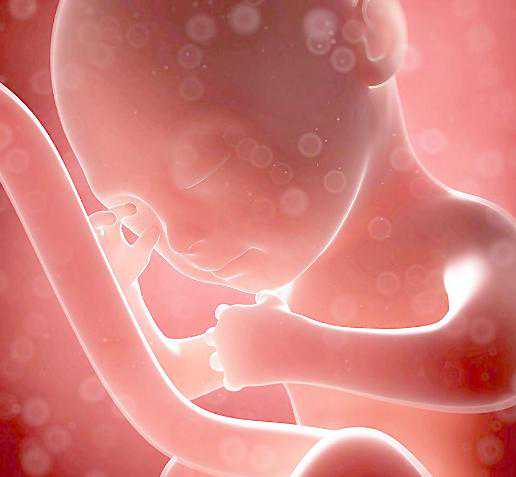 武汉能供卵的助孕辅助生殖机构哪家最安全？