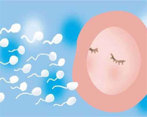 上海代怀机构，冻精子和鲜精的区别