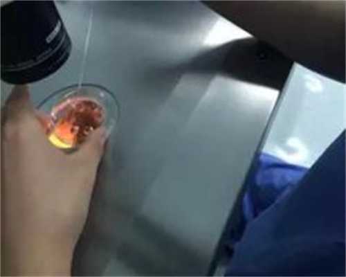 上海一妇婴无创dna多久出结果(上海一妇婴无创dna亲子鉴定)